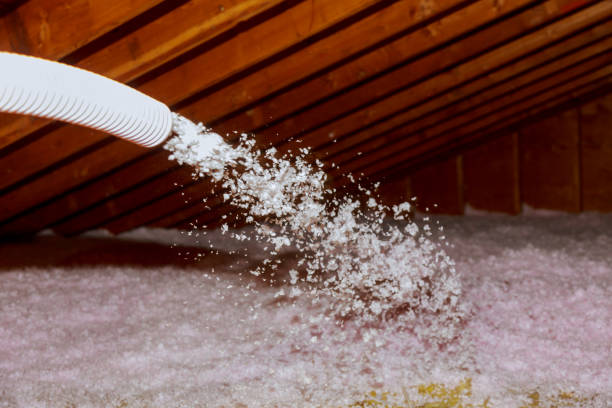 Best Insulation Materials and Products in Dundee, FL