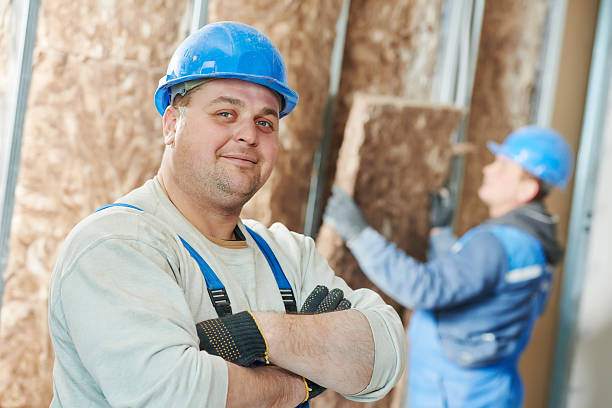 Best Insulation Installation Services in Dundee, FL