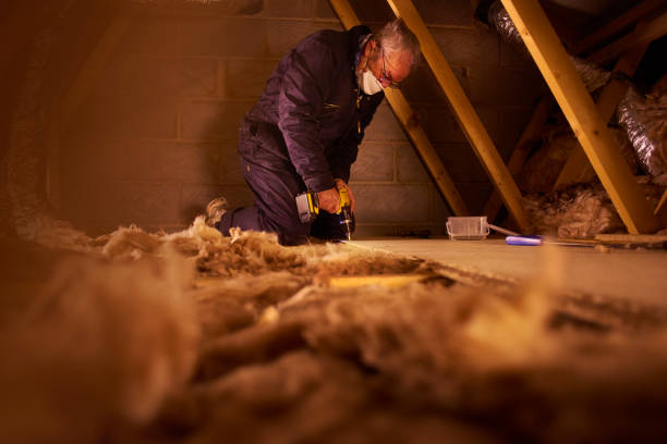 Best Commercial Insulation in Dundee, FL