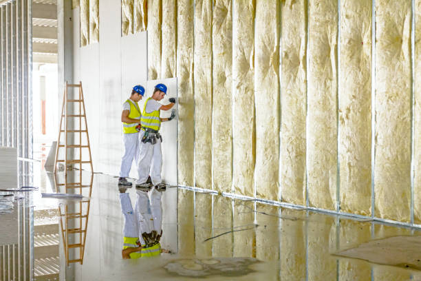 Best Specialty Insulation in Dundee, FL